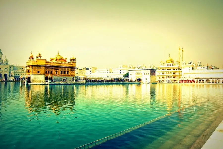 Image Caption-4