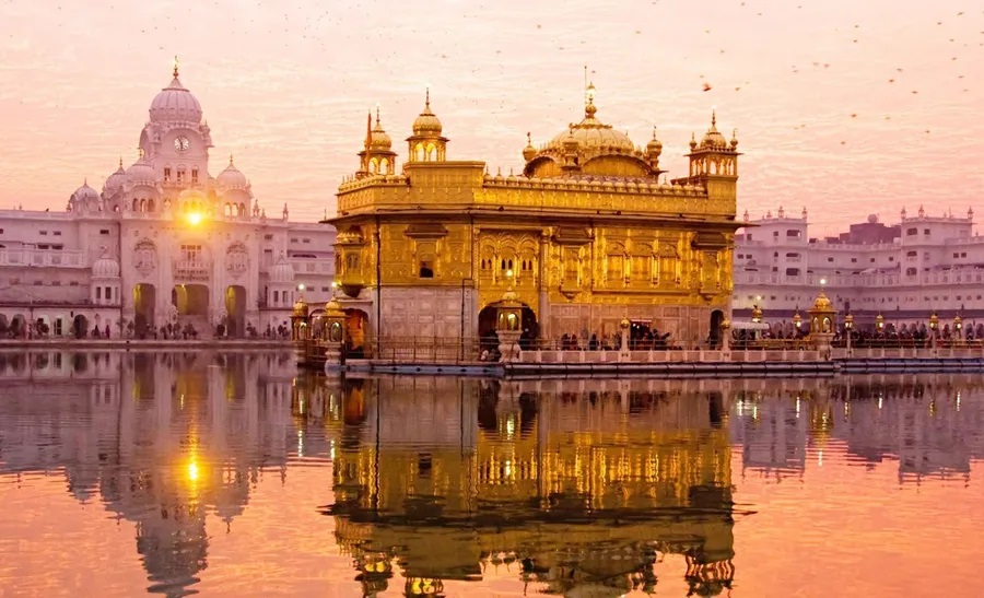 Image Caption-7